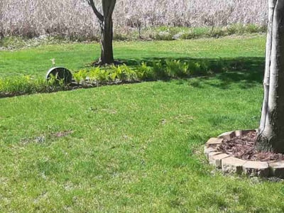 Lawn care service in Anoka, 55303
