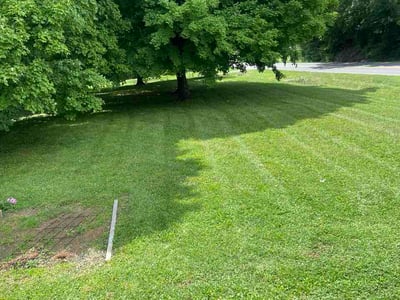 Lawn care service in Rockford, 37853