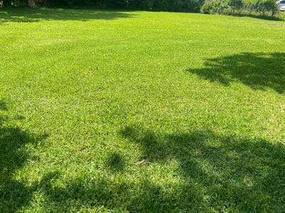 Lawn care service in Baytown, 77520