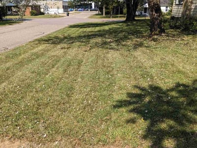Lawn care service in Westland, 48185