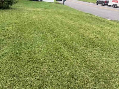 Lawn care service in Richmond, 23223