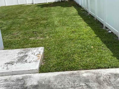 Lawn care service in Hollywood, 33020