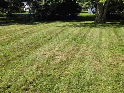 Lawn care service in West Henrietta, 14586