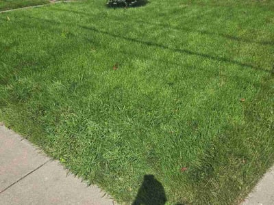 Lawn care service in Cincinnati, 45227