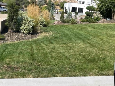 Lawn care service in Boise, 83716