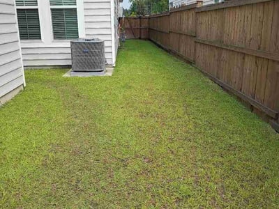 Lawn care service in Summerville, 29485