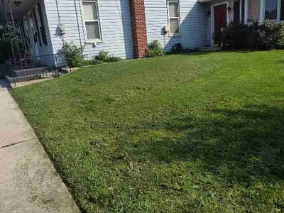 Lawn care service in Palmyra, 17078