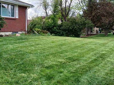 Lawn care service in Arvada, 80004