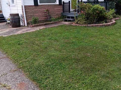 Lawn care service in Mogadore, 44260