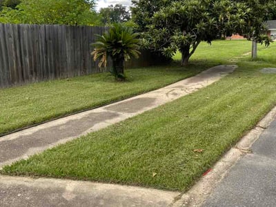 Lawn care service in Baton Rouge, 70810