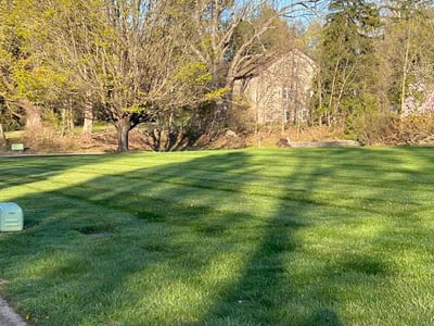 Lawn care service in Doylestown, 18901