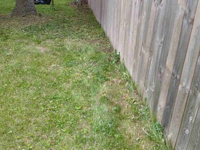 Lawn care service in Toledo, 43607