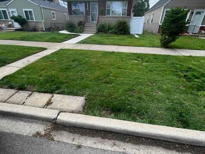 Lawn care service in Bellwood, 60104
