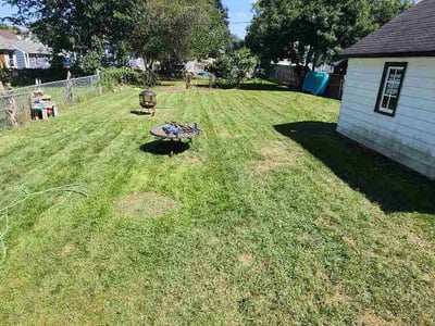 Lawn care service in Rochester, 55904