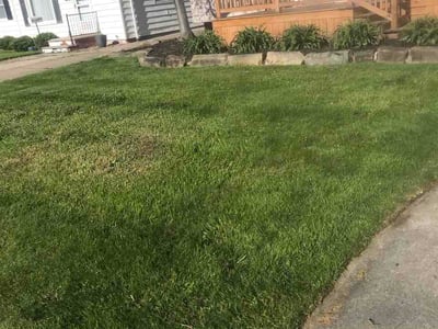 Lawn care service in Fairview Park, 44126