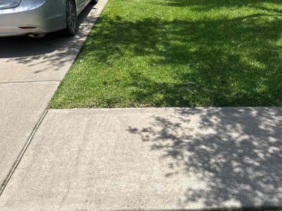 Lawn care service in Missouri City, 77459
