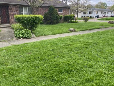 Lawn care service in Akron, 44320