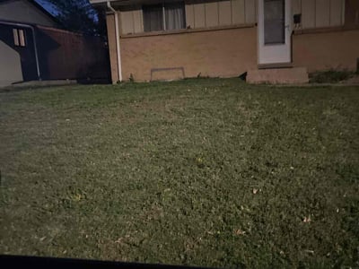 Lawn care service in Denver, 80229
