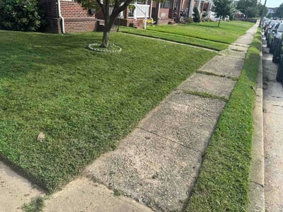 Lawn care service in Dundalk, 21222