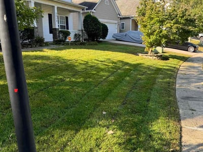 Lawn care service in Charlotte, 28216