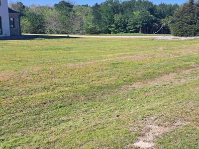 Lawn care service in Rockwall, 75032