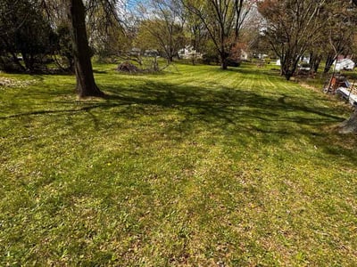 Lawn care service in Akron, 44319