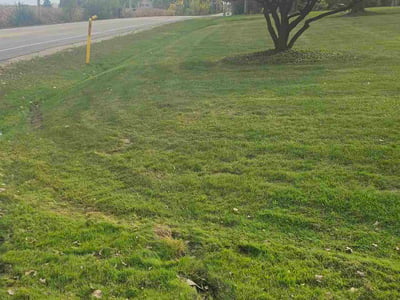 Lawn care service in Brown Deer, 53223