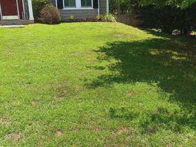 Lawn care service in Alpharetta, 30022