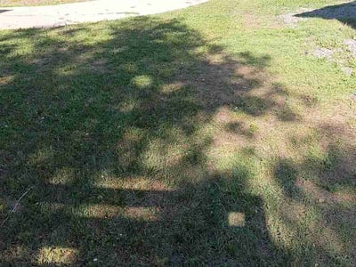 Lawn care service in Boulder, 80303