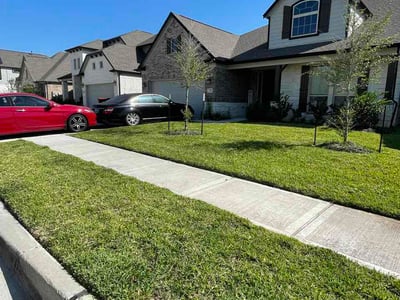 Lawn care service in Cypress, 77433