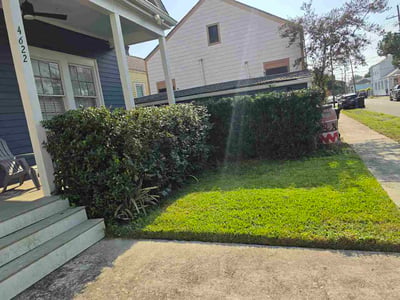 Lawn care service in New Orleans, 70115