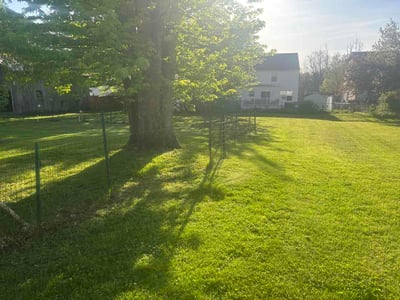 Lawn care service in Quakertown, 18951