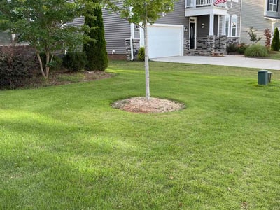 Lawn care service in Garner, 27529