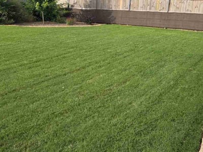Lawn care service in Forney, 75126