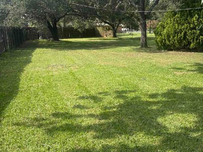 Lawn care service in Bryan, 77802
