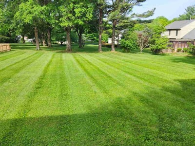 Lawn care service in Silver Spring, 20905