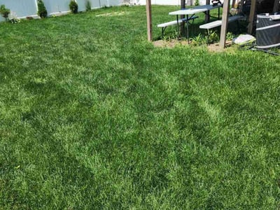 Lawn care service in Fargo, 58104