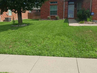 Lawn care service in Arlington, 76017