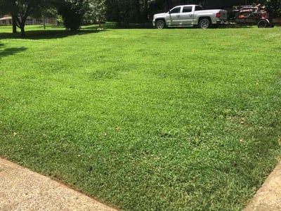 Lawn care service in Woodstock, 30189
