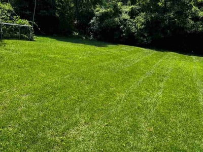 Lawn care service in Silver Spring, 20903