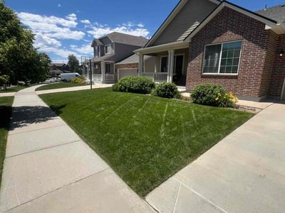 Lawn care service in Parker, 80134