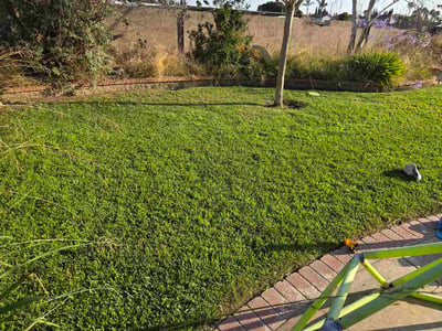 Lawn care service in Fountain Valley, 92708