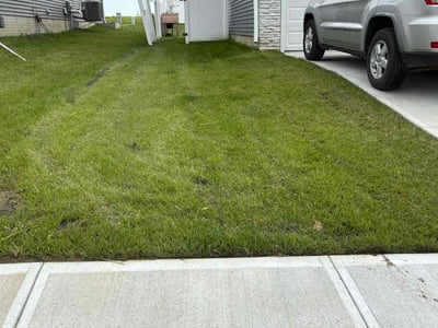 Lawn care service in Gretna, 68028