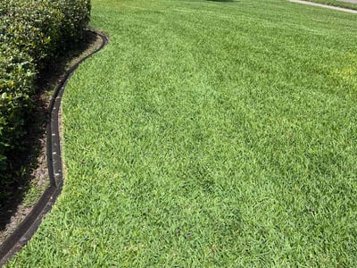 Lawn care service in Tarpon Springs, 34689