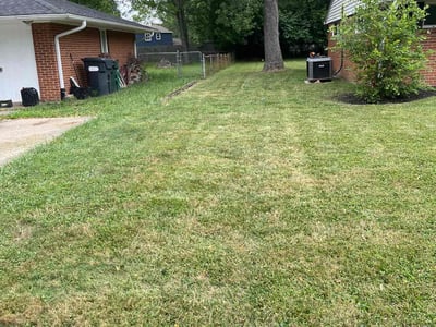 Lawn care service in Loveland, 45140