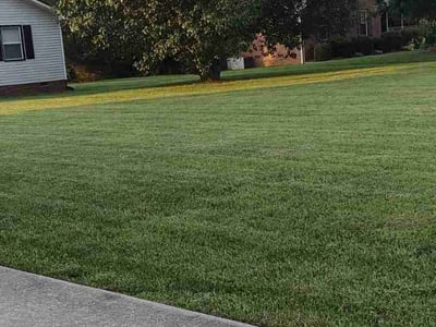 Lawn care service in Browns Summit, 27214