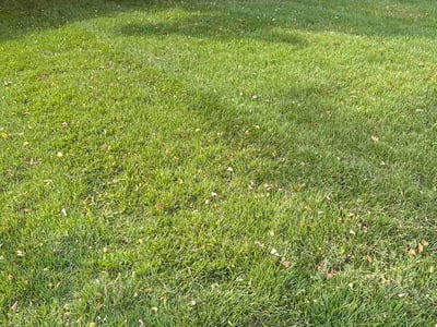 Lawn care service in Saint Charles, 63301