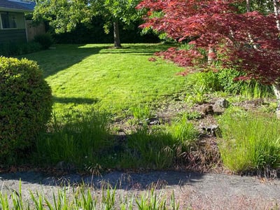 Lawn care service in Vancouver, 98665