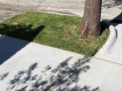 Lawn care service in Houston, 77019