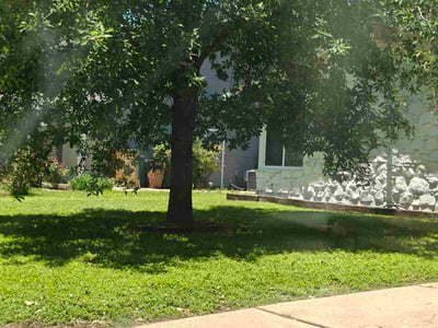 Lawn care service in Austin, 78745